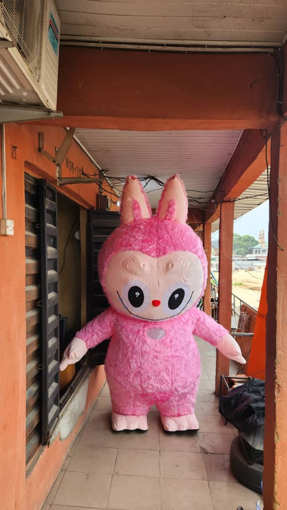 whatsapp image 2025 07 29 at 9.13.31 am