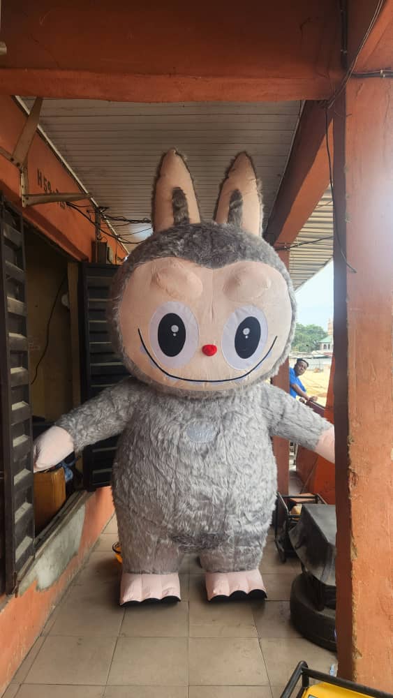 whatsapp image 2025 07 29 at 9.13.33 am