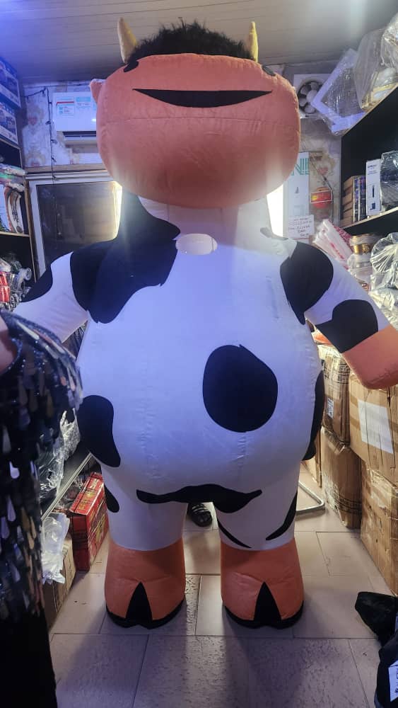 whatsapp image 2025 07 29 at 9.16.03 am